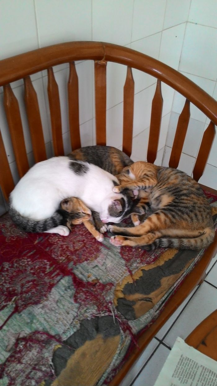 So Damn Cold Nite :)