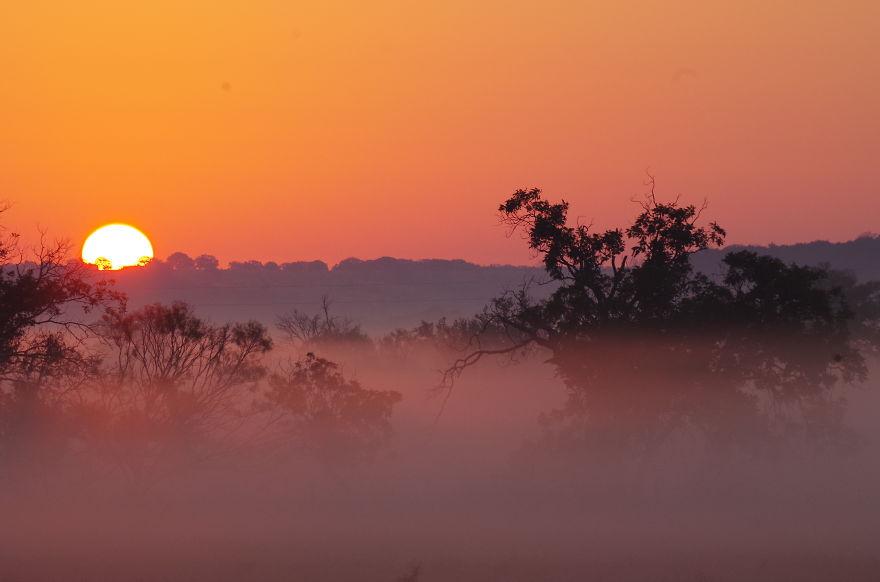 Misty Morning Meadow...evant, Texas