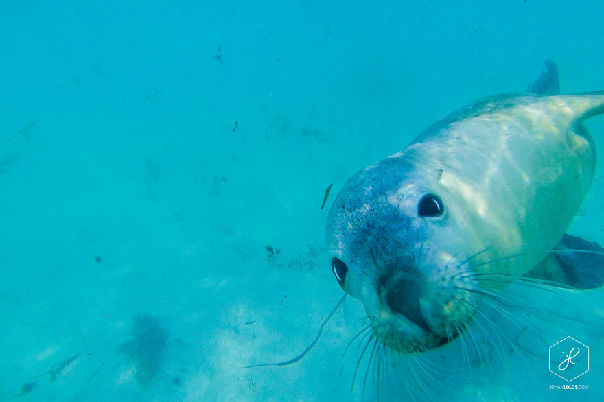 I Traveled 40,000km Around Australia And Brough Back These Stunning Photos I Traveled 40,000km Around Australia And Brough Back These Stunning Photos