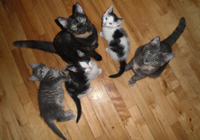 Brothers And Sisters