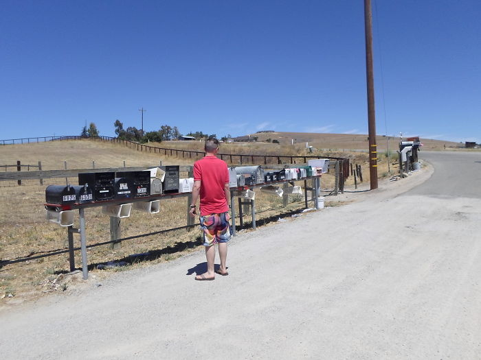 Amazed! Tampleton, California
