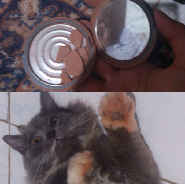 Who Took Mommy's Bronzer???