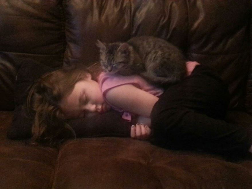 Sleepy And Her Buddy