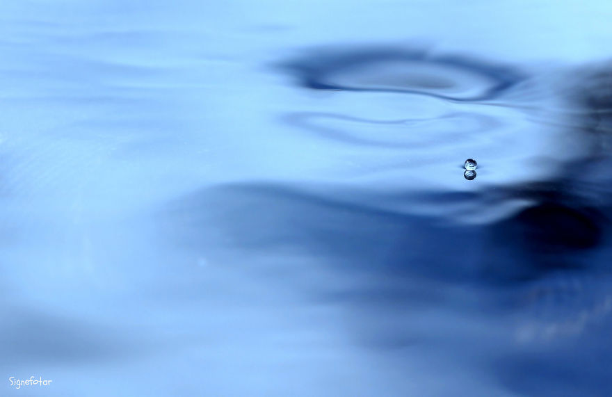 When I Bought A Macro Lens, I've Discovered A Whole New World - Snails Look Nice And Spiders Are Cute