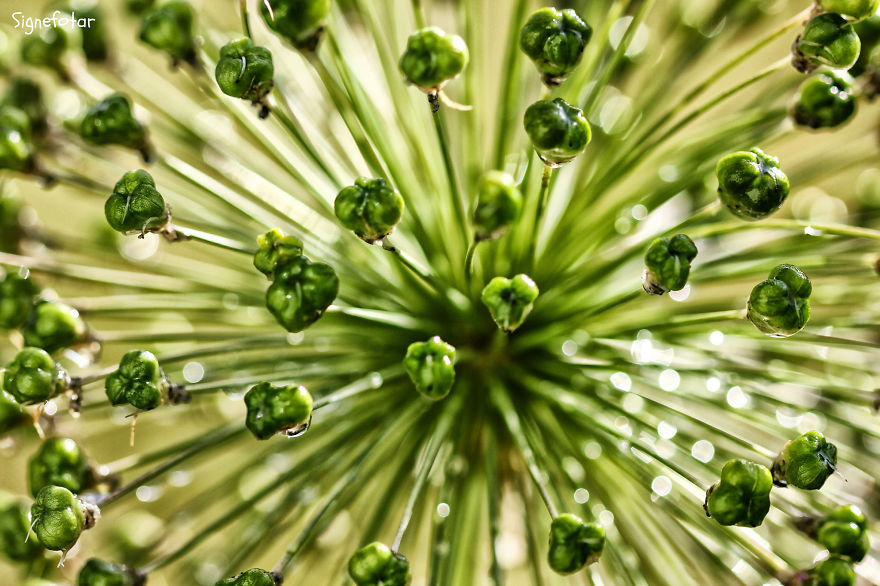 When I Bought A Macro Lens, I've Discovered A Whole New World - Snails Look Nice And Spiders Are Cute When I Bought A Macro Lens, I've Discovered A Whole New World - Snails Look Nice And Spiders Are Cute