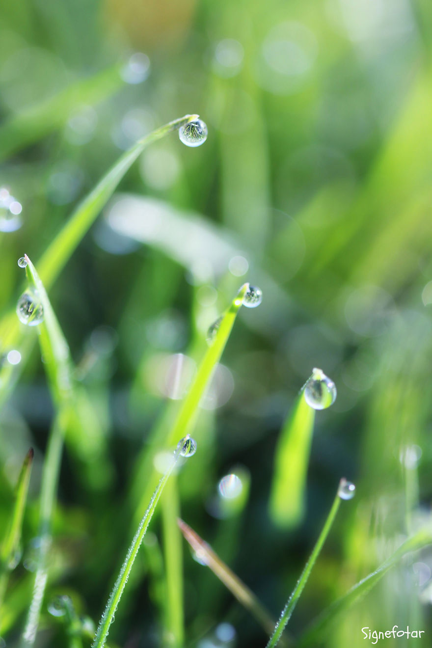 When I Bought A Macro Lens, I've Discovered A Whole New World - Snails Look Nice And Spiders Are Cute When I Bought A Macro Lens, I've Discovered A Whole New World - Snails Look Nice And Spiders Are Cute