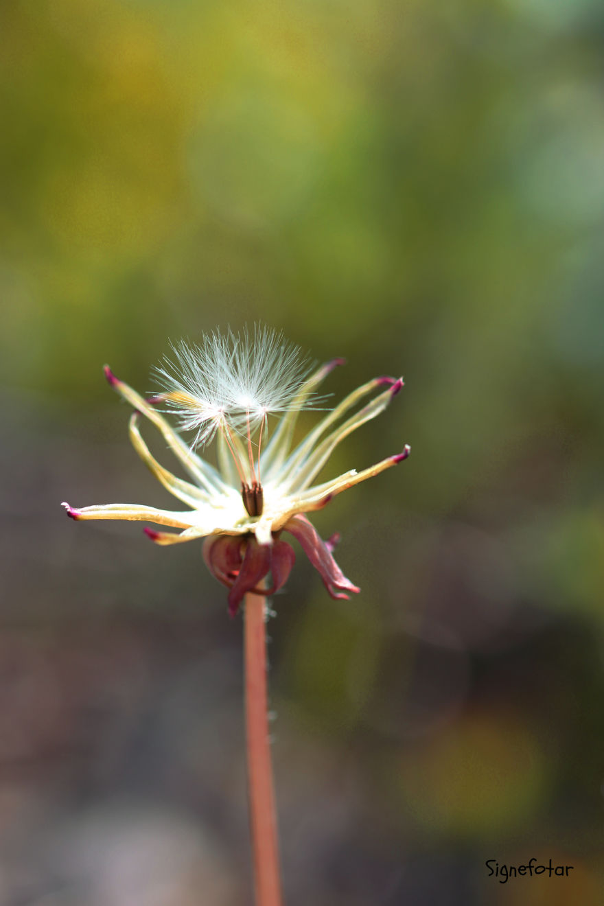 When I Bought A Macro Lens, I've Discovered A Whole New World - Snails Look Nice And Spiders Are Cute When I Bought A Macro Lens, I've Discovered A Whole New World - Snails Look Nice And Spiders Are Cute