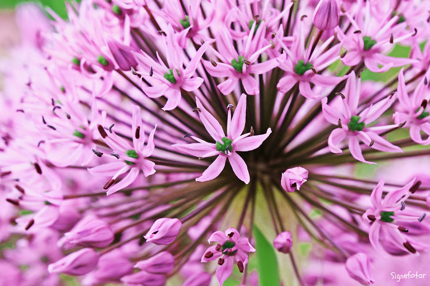 When I Bought A Macro Lens, I've Discovered A Whole New World - Snails Look Nice And Spiders Are Cute When I Bought A Macro Lens, I've Discovered A Whole New World - Snails Look Nice And Spiders Are Cute