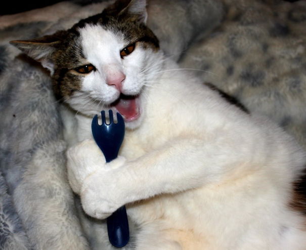 "stealing Food For A Baby"