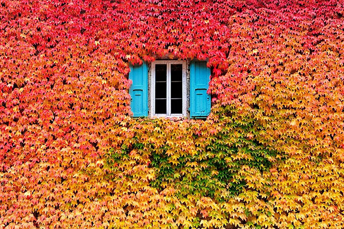 These 203 Beautiful Autumn Photos Will Inspire You To Grab Your Camera