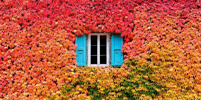 These 203 Beautiful Autumn Photos Will Inspire You To Grab Your Camera