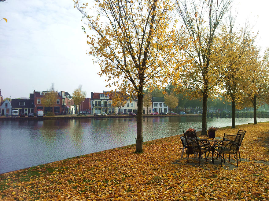 Autumn In The Netherlands