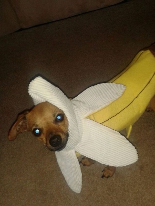 I'm A Banana!