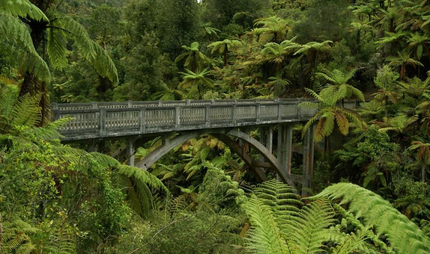 Mystical bridge arching over dense green foliage in a lush forest, creating a serene and otherworldly atmosphere.