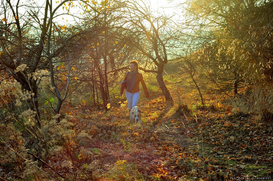 Birow (birów) Hill, Poland
