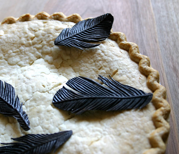Chocolate Blackbird Feathers