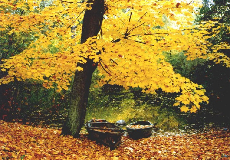 It Is A Scan Of My Old Photo - Almost 20 Years Ago! My Favorite :-)