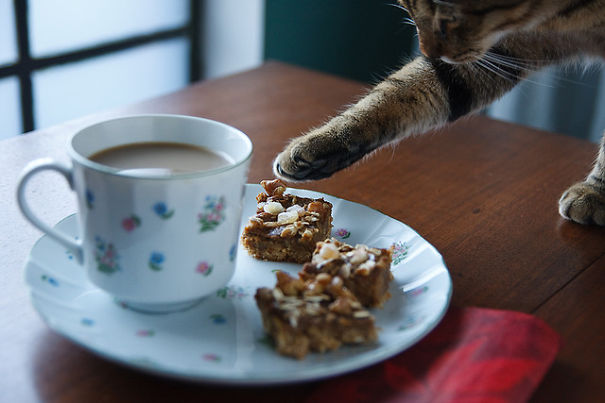 Stealing A Granola Bar