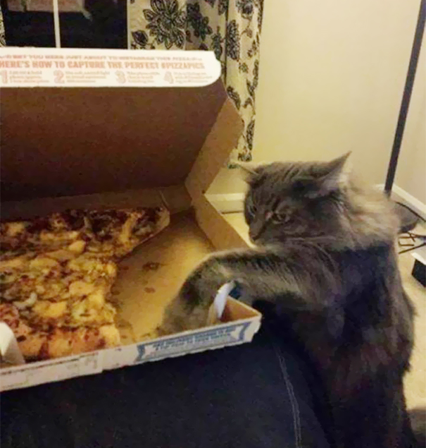 Stealing Directly From A Box