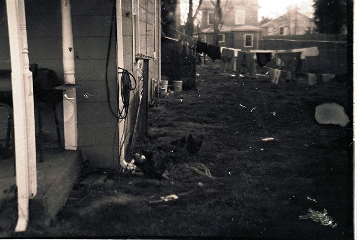 Petersburg, Va - Expired Film By Ty Beall