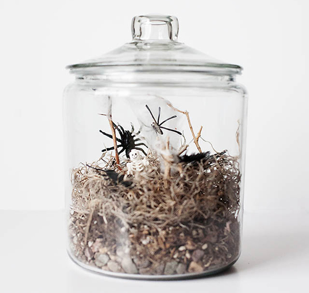 Halloween Terrarium