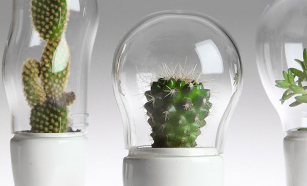 domsai-creative-terrariums-matteo-cibic-1 domsai-creative-terrariums-matteo-cibic-1