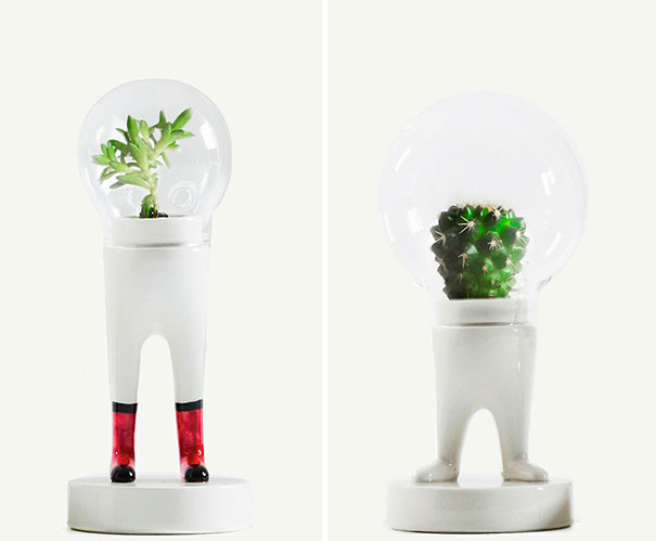 domsai-creative-terrariums-matteo-cibic-11 domsai-creative-terrariums-matteo-cibic-11