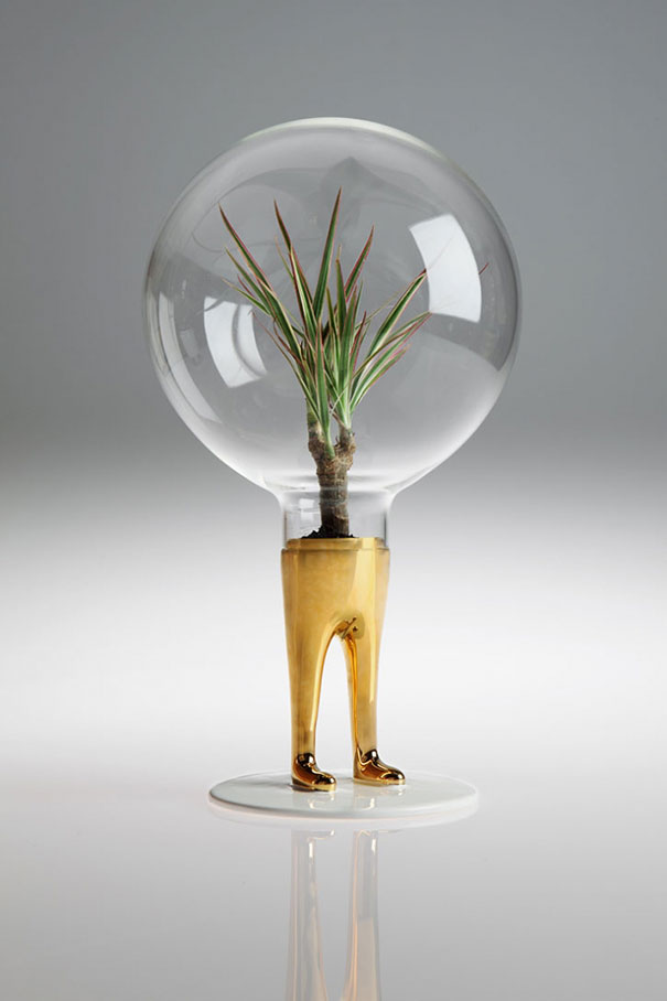 domsai-creative-terrariums-matteo-cibic-3 domsai-creative-terrariums-matteo-cibic-3