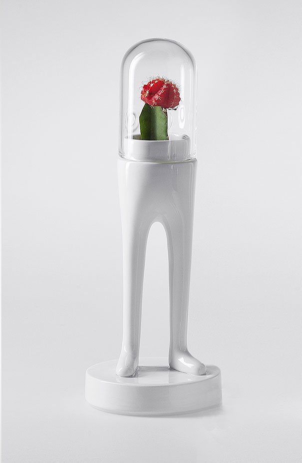 domsai-creative-terrariums-matteo-cibic-6