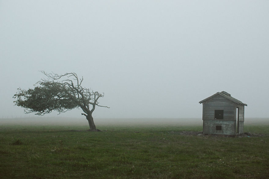 A Haunted Landscape, Humboldt County, California