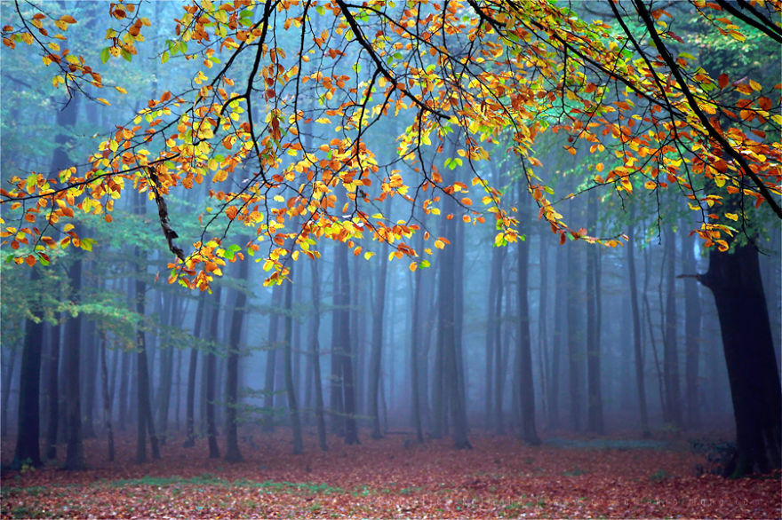 Seconds Before The Light Went Out