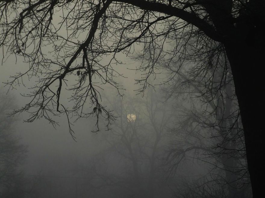 Gloomy Morning In Wroclaw - Poland