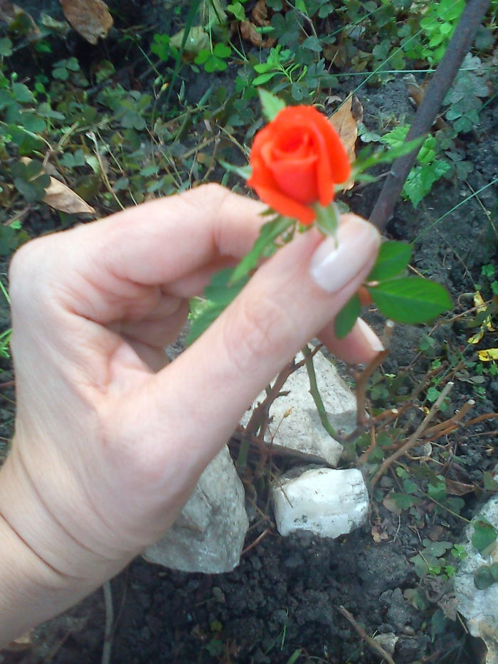 Kata From Hungary.never Again Soá !!!