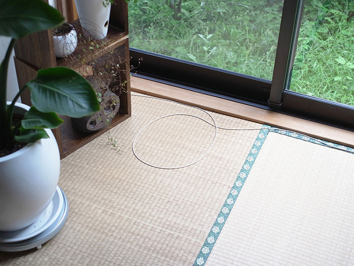 how-to-trap-a-cat-circle-1 how-to-trap-a-cat-circle-1