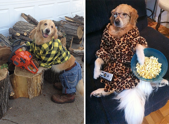 This Dog Has No Idea What She’s Doing