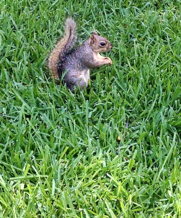 Clearly He's Riding An Invisible Scooter!!