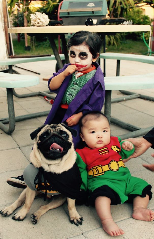 Young children and a dog dressed in creative Halloween costumes, showcasing fun children's Halloween costume ideas.