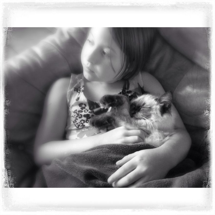 My Youngest Daughter With Pluche Our Ragdoll Kitten