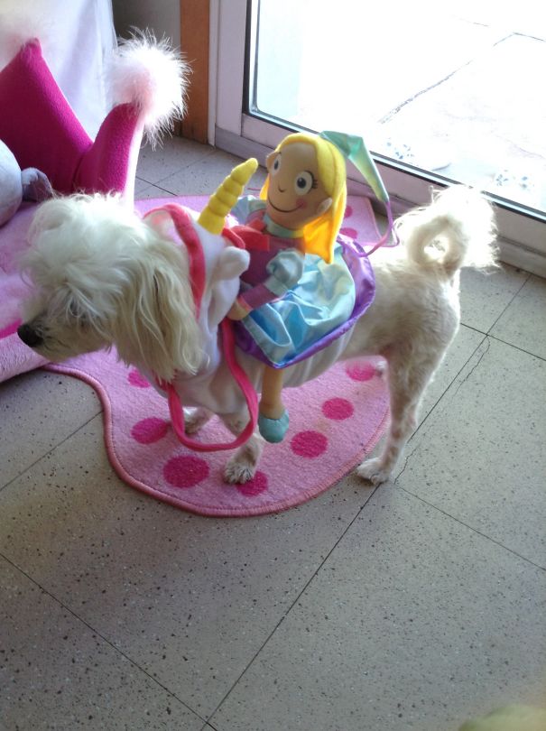 Pinky The Unicorn Carrying Princess