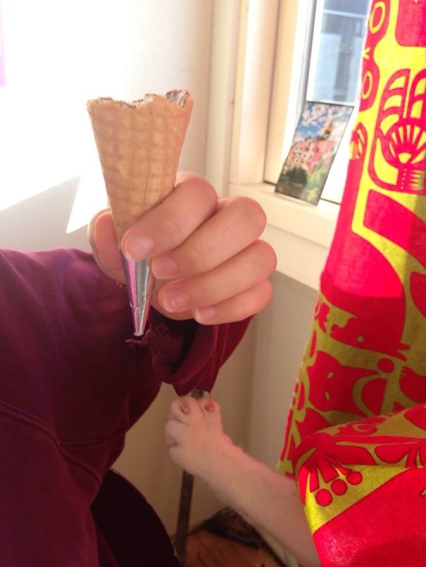 One Of My Little Rascals