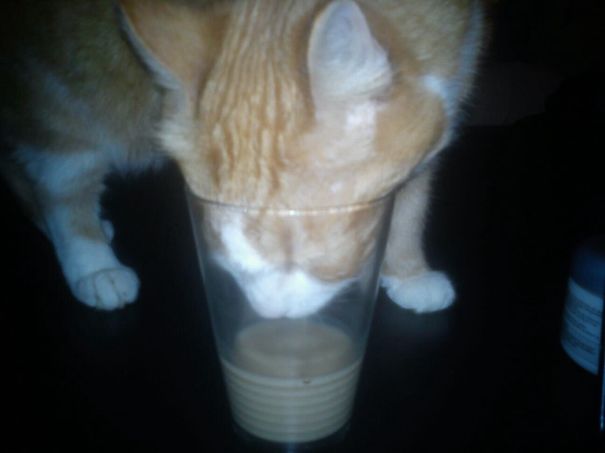 Ib Erland Lorentsen Enjoying His Latte...or...my Latte, That Was.