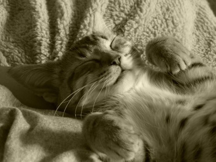 Smiling In My Sleep!