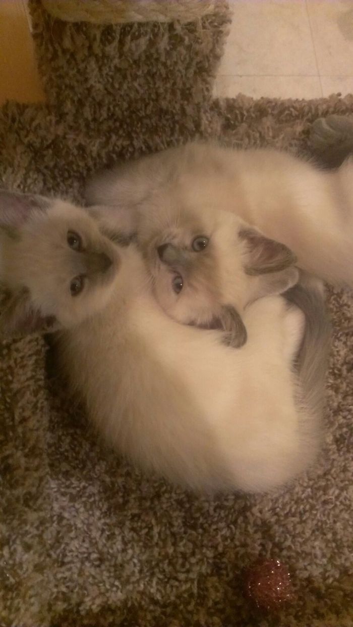 Sisters Make The Best Friends!