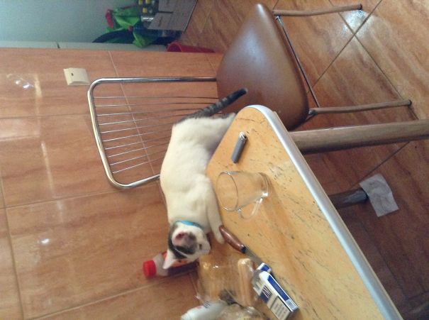 " Just A Little Bit More, Slow And Steady"