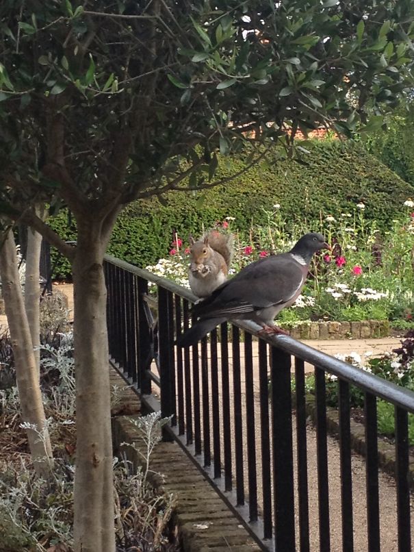 This Weird Couple In London