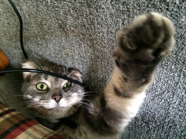 Under The Sofa Trinna Get Chip Incognito