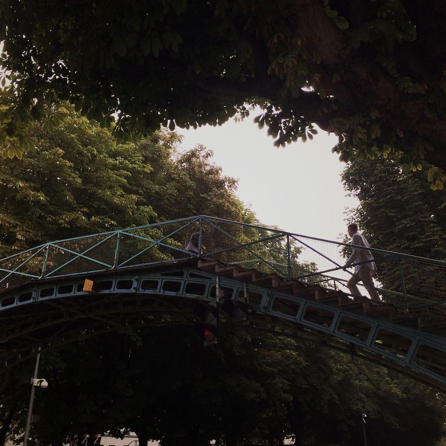 Person walking across a mystical bridge surrounded by lush green trees creating an enchanting natural atmosphere.