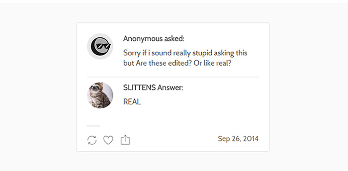 kittens-sloths-combined-slittens-40 kittens-sloths-combined-slittens-40