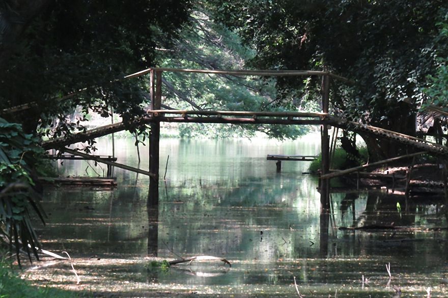 Rustic mystical wooden bridge over calm water surrounded by dense green forest, creating a serene otherworldly atmosphere.