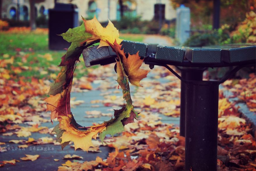 Leaf Crown In Stockholm